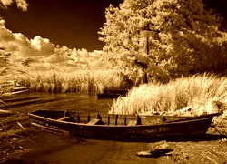 Sepia