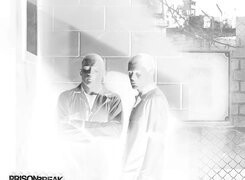 Szary + Negatyw