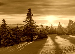 Sepia
