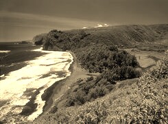 Szary + Sepia