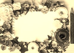 Szary + Sepia