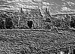 Skamielina