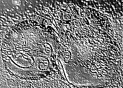 Skamielina