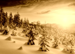 Sepia