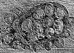 Skamielina
