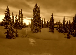 Sepia