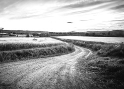 Szary + Sepia