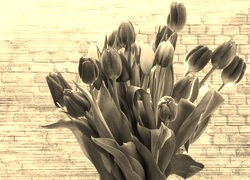 Szary + Sepia