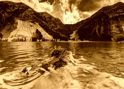 Sepia