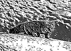 Skamielina