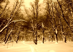 Sepia