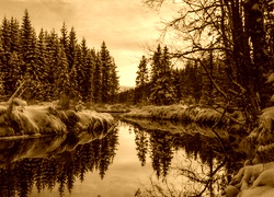 Sepia