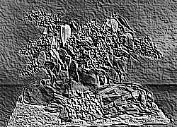 Skamielina