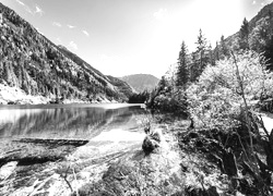 Szary + Sepia