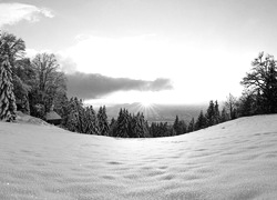 Szary + Sepia