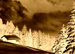 Sepia + Negatyw