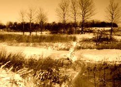 Sepia