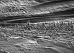 Skamielina