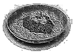 Skamielina