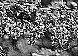 Skamielina