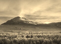 Szary + Sepia