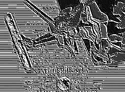 Skamielina