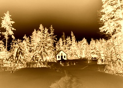 Sepia + Negatyw