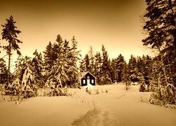 Sepia