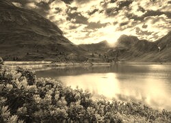 Sepia
