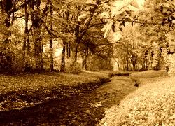 Sepia