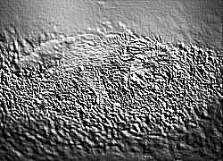 Skamielina
