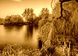 Sepia