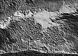 Skamielina