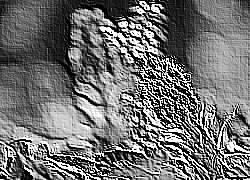 Skamielina