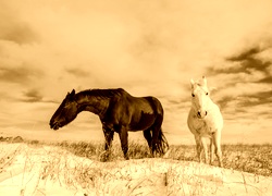 Sepia