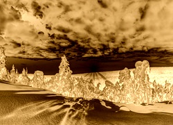 Sepia + Negatyw
