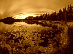 Sepia