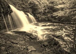 Sepia