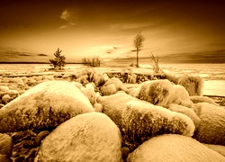 Sepia