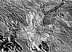 Skamielina