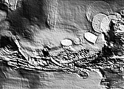 Skamielina