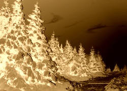 Sepia + Negatyw