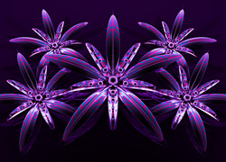 Oryginalny obrazek