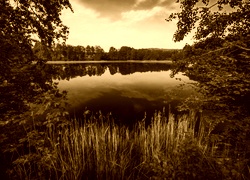 Sepia