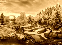 Sepia