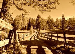 Sepia