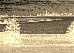 Sepia + Negatyw