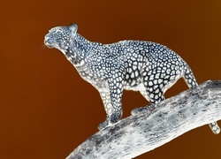 Negatyw
