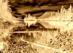 Sepia + Negatyw