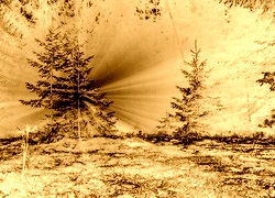 Sepia + Negatyw